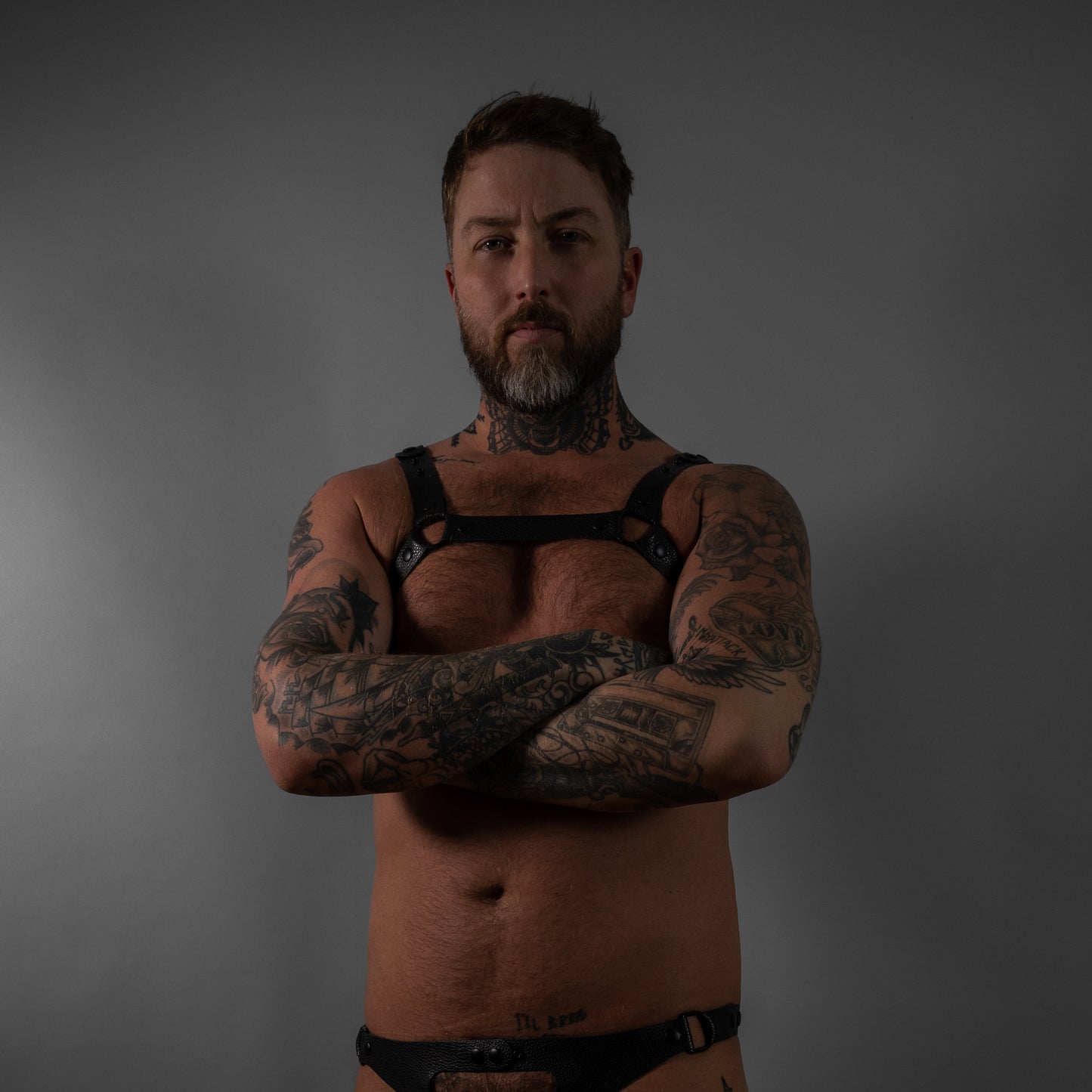 1" Bulldog Harness - Black