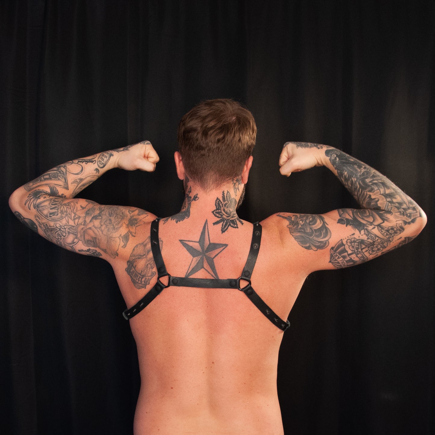 Black Bulldog Harness 0.75 - Black