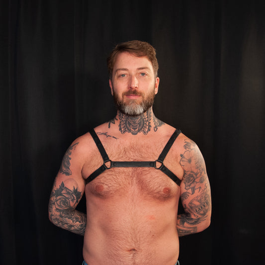 Black Bulldog Harness 0.75 - Black