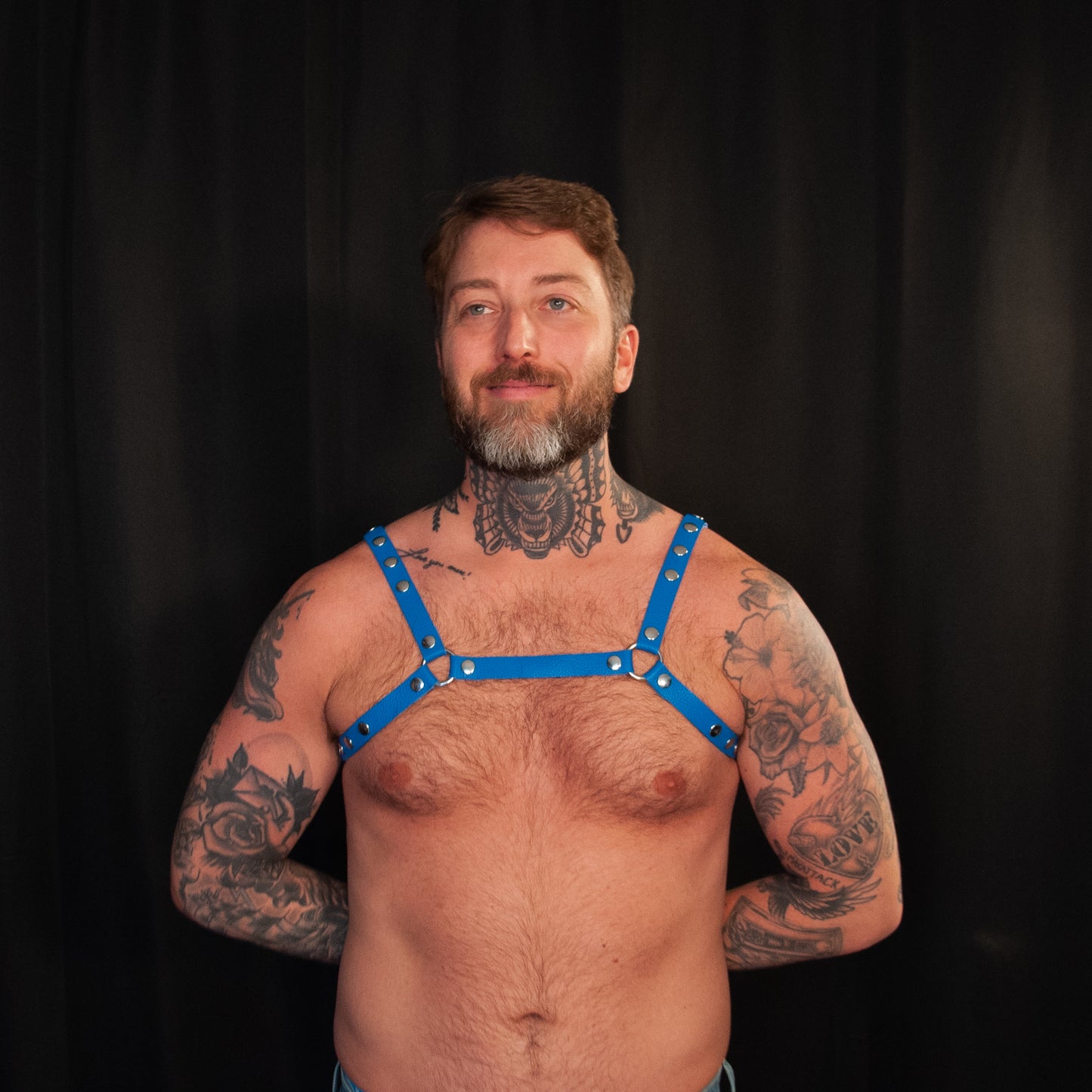Blue Bulldog Harness 0.75 - Classic