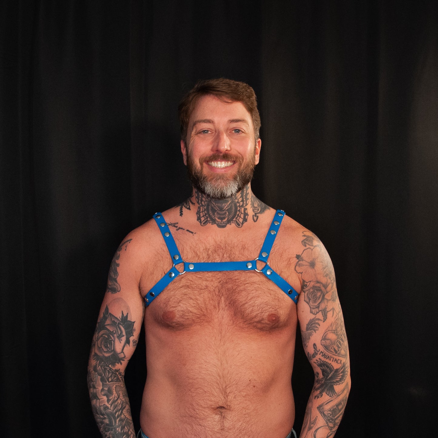 Blue Bulldog Harness 0.75 - Classic