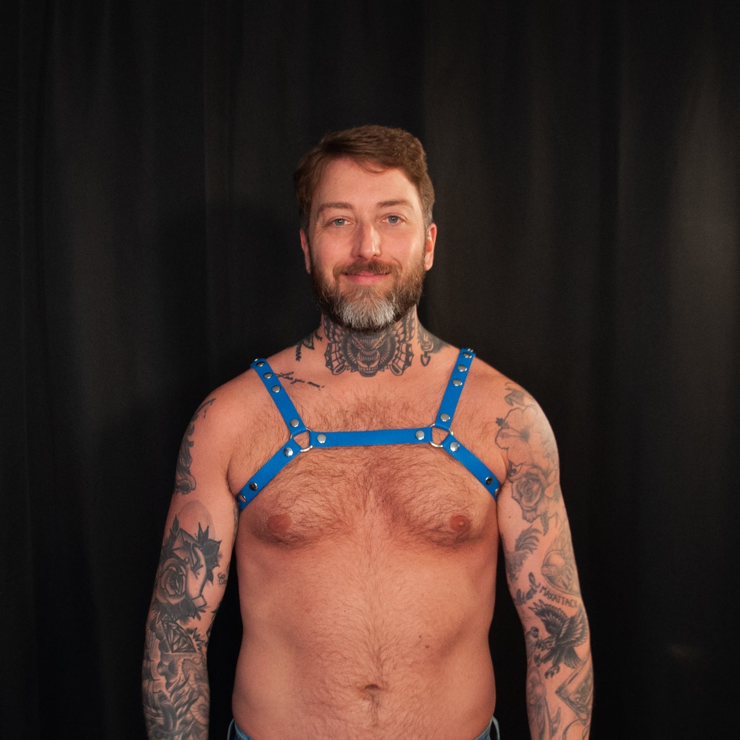Blue Bulldog Harness 0.75 - Classic