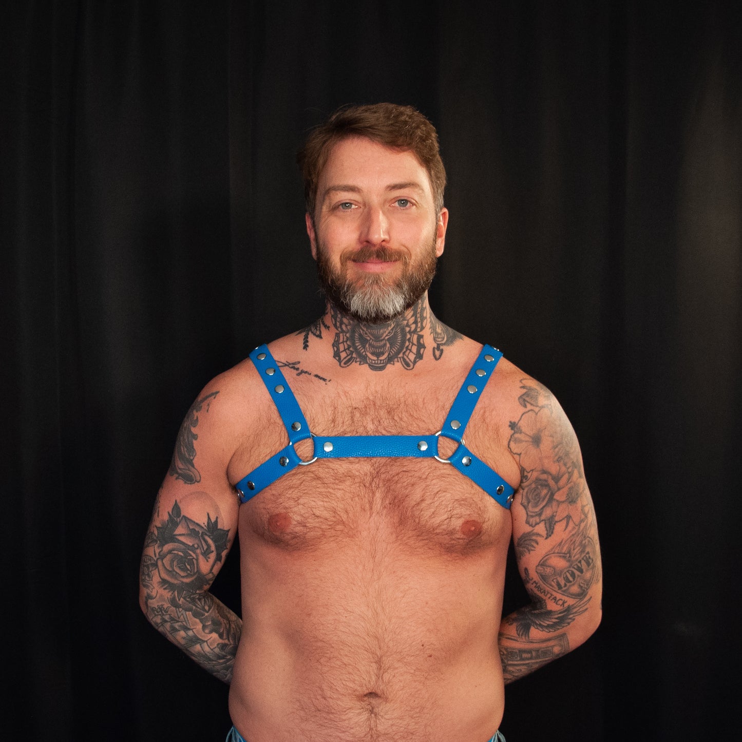 Blue Bulldog Harness 1.00 - Classic