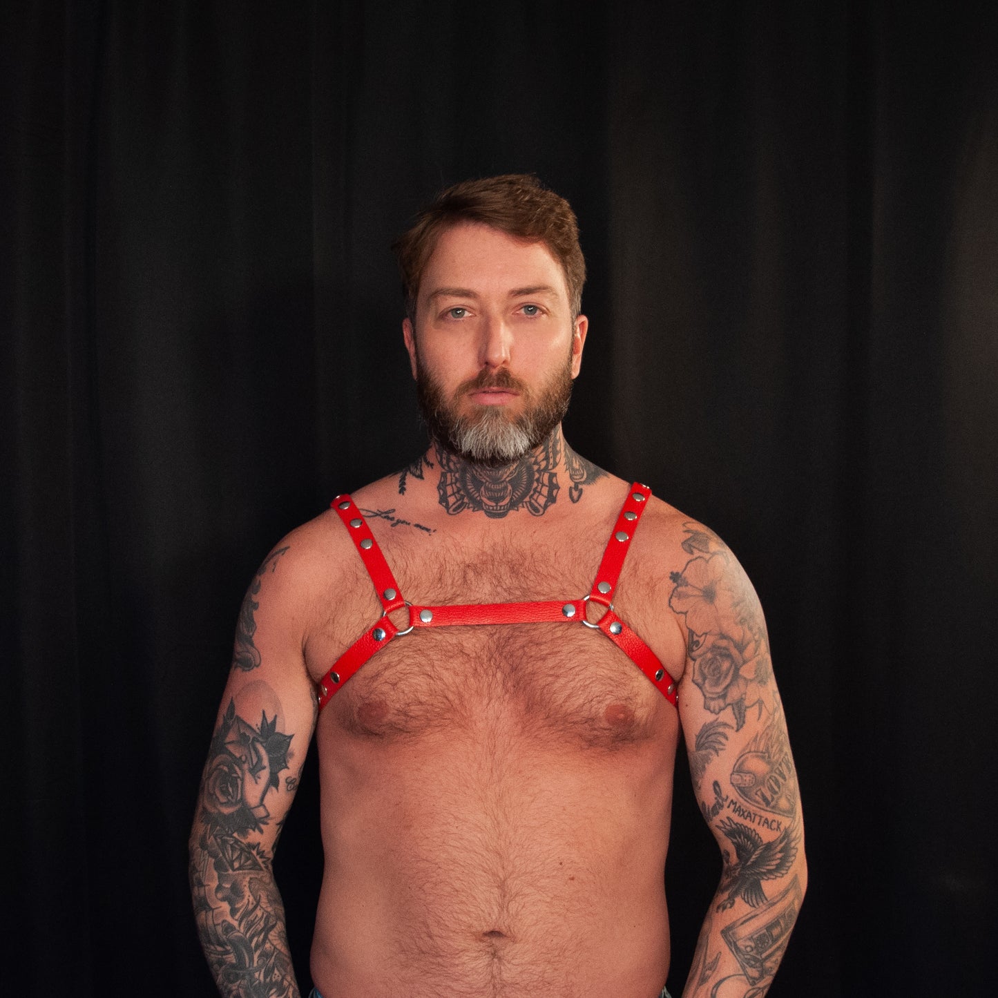 Red Bulldog Harness 0.75 - Classic