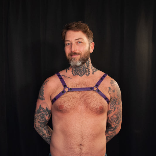 Purple Bulldog Harness 0.75 - Black