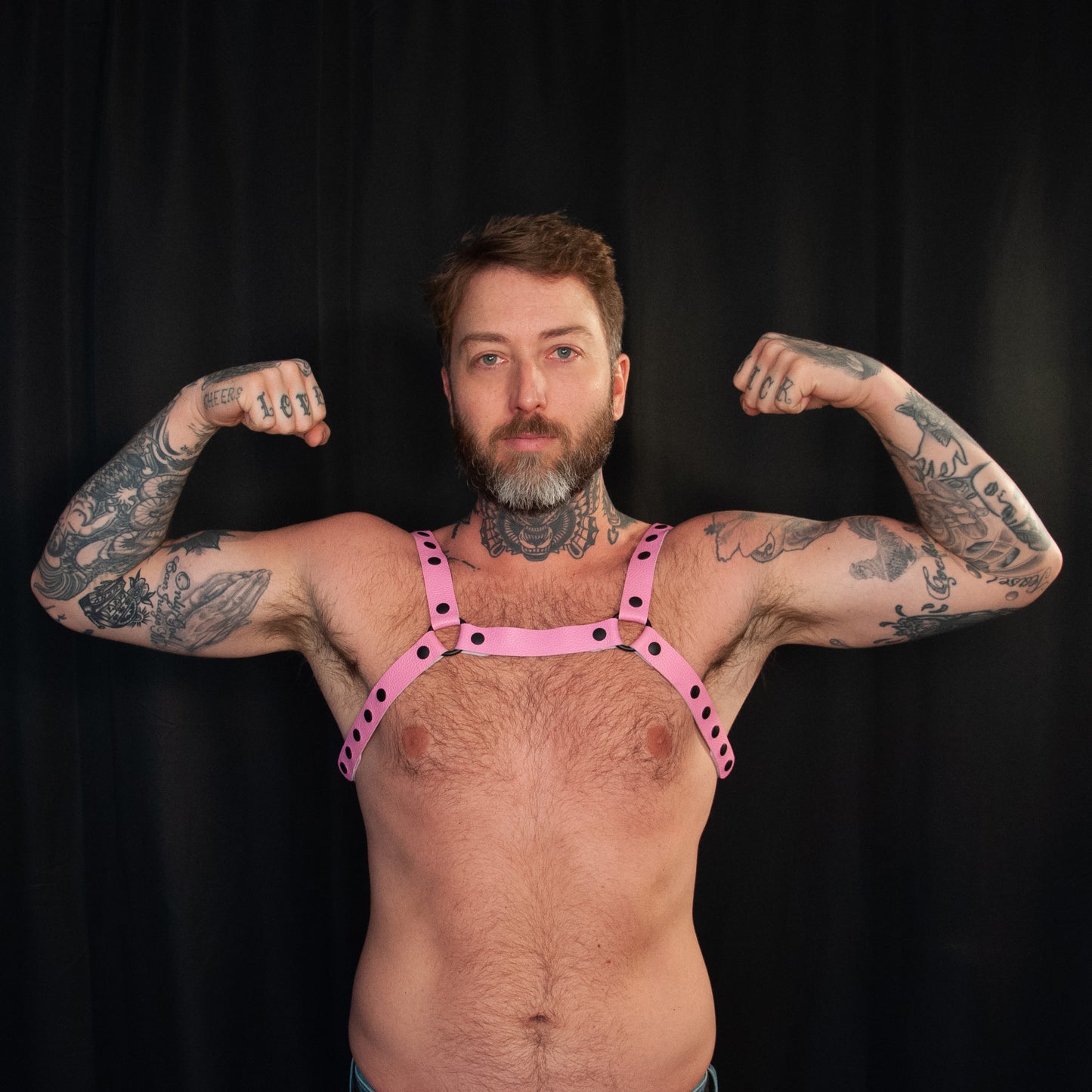 Pink Bulldog Harness 1.00 - Black