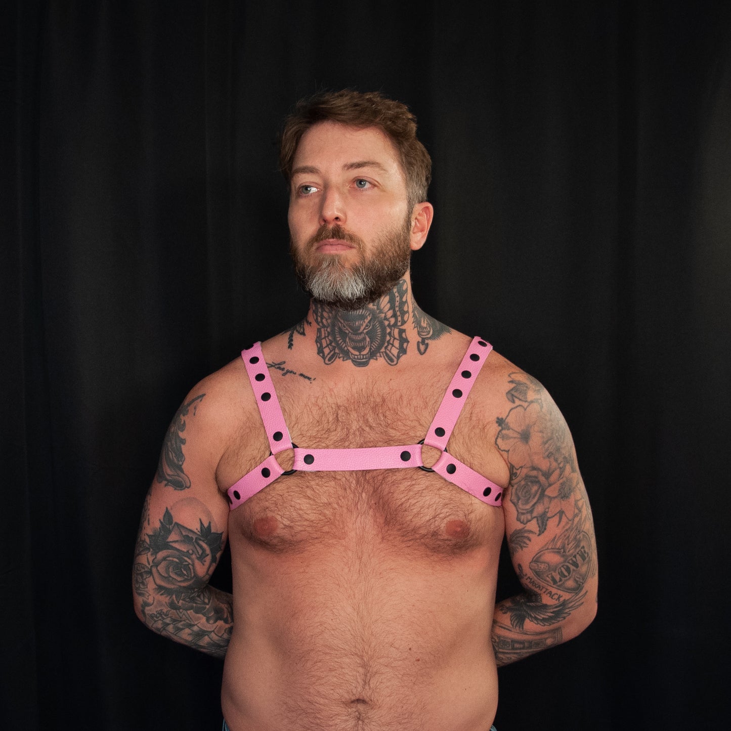 Pink Bulldog Harness 1.00 - Black
